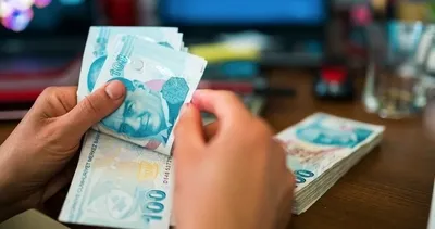 Aile Destek Programı Aralık ayı ödemeleri yattı mı, ne zaman yatacak? 850-1250 TL Aile Destek Programı/Paketi ödemeleri sorgulama nasıl ve nereden yapılır?