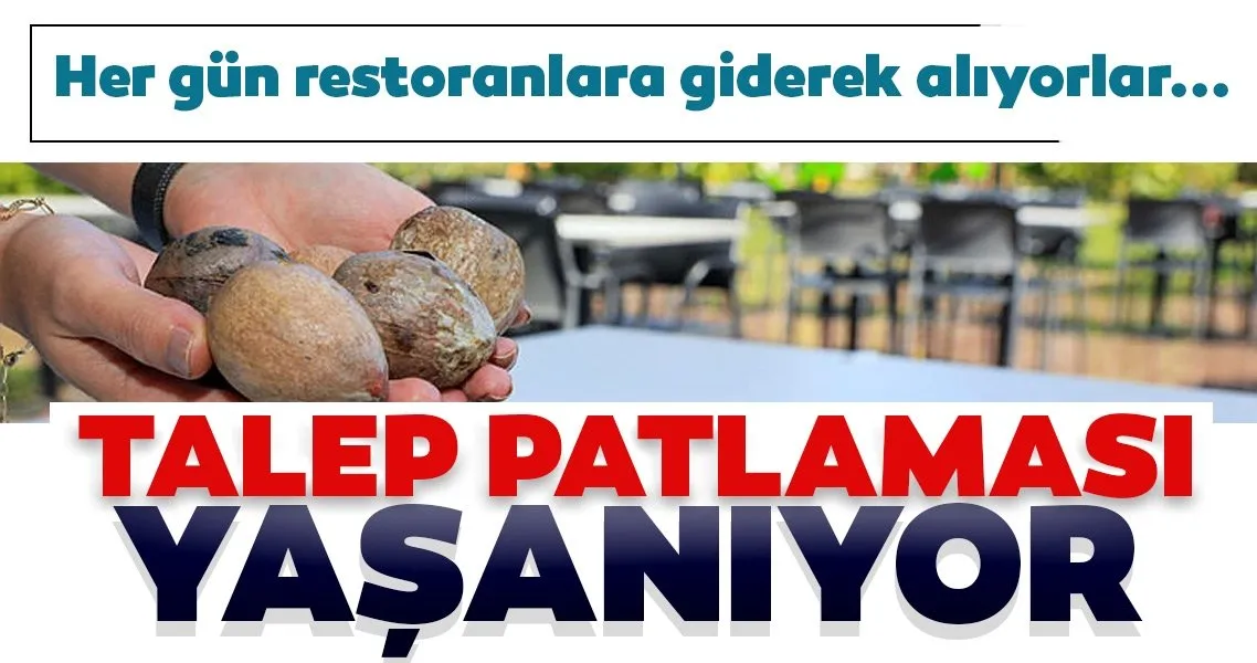 Her gün restoranlara giderek topluyorlar! Talep patlaması yaşanıyor...