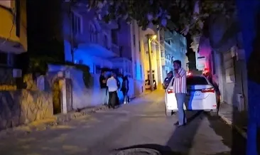 Kardeşlerin kavgası cinayetle bitti