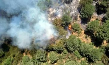 Sultangazi Kent Ormanı'nda yangın panik yarattı! Vali Gül, “Ormanlık ve ağaçlık alanlarda vatandaşlar ateşten uzak durmalı” #istanbul