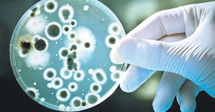 Bakteriler uyarı çığlığı atıyor