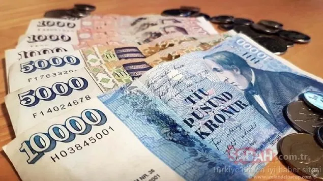 Türkiye İzlanda maçı öncesi gündem olmuştu... İşte İzlanda ile ilgili o gerçek...
