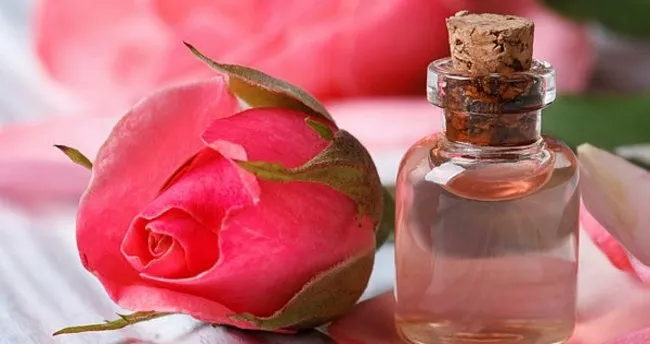 gul suyunun faydalari nelerdir ne icin kullanilir gul suyunun cilde faydalari icin maske tarifi saglik haberleri