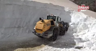 Muş’ta mayıs ayında 5 metrelik karla mücadele | Video