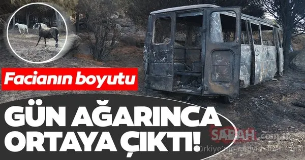 Marmara Adası'ndaki yangının boyutu gün ağarınca ortaya çıktı