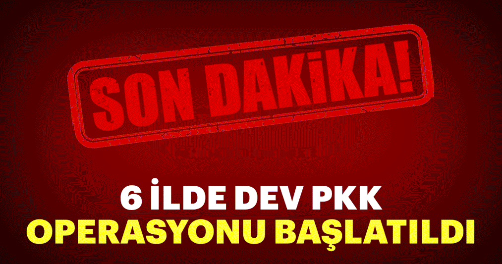 Van’da merkezli 6 ilde dev PKK operasyonu