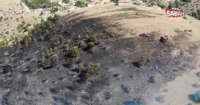 10 dönüm orman küle döndü | Video