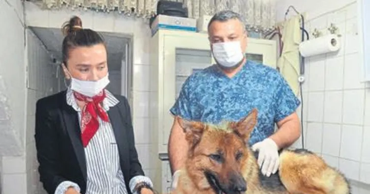 İyi, kötü ve çirkin