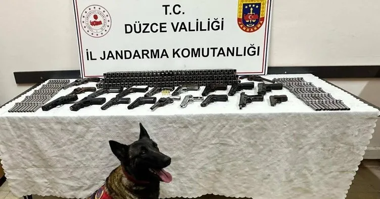 Silah kaçakcılarına darbe