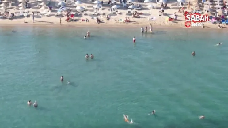Bodrum’a 60 saatte 60 bin araç giriş yaptı | Video