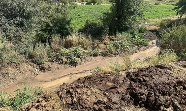 Tunceli’de dolu ve sağanak ekili alanlara ciddi zarar verdi