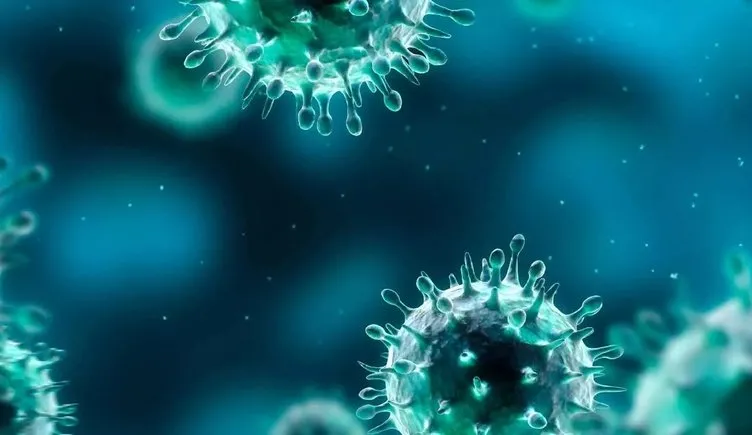 H1N1 virüsü nedir, açılımı ne? H1N1 nasıl bulaşır, ölümcül mü, tedavisi var mı?