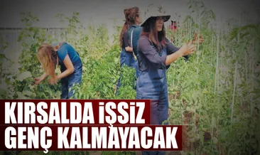 Kırsalda işsiz genç kalmayacak