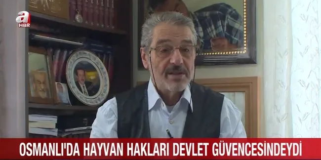 osmanlida-sokak-hayvanlari-devlet-guvencesindeydi-gazeteci-sadik-albayrak-anlatti-1720423367722.jpg