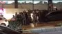 Kaza sonrasında iki aile birbirine girdi | Video