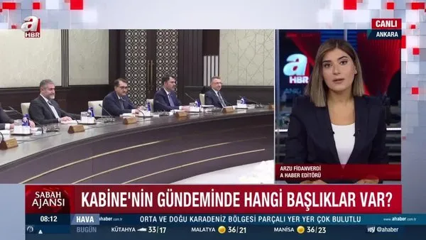 Gözler Kabine Toplantısı ve Başkan Erdoğan'ın açıklamalarında; Kritik konular masada | Video