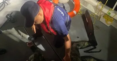 Bodrum’dan yüzerek Yunanistan’a geçmeye çalıştı #mugla