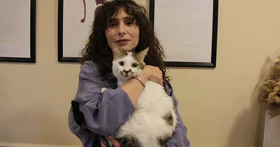 Şehir değiştirince depresyona girmişti! ’Paşa’ kedinin tedavi yöntemi duyanları şoke etti: Kuyruğunu ısırıp, tüylerini yoluyordu