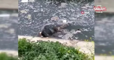 Mersin’de su kanalında erkek cesedi bulundu | Video