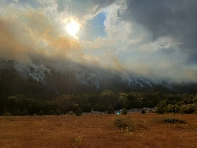 bolu-mengende-orman-yangini-ekipler-alevlere-mudahale-ediyor-1755702408245.jpeg Bolu Mengen'de orman yangını: Ekiplerin müdahalesi ile kontrol altında