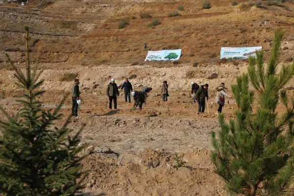 nevsehirde-8-bin-fidan-toprakla-bulustu-1668172134757.jpg
