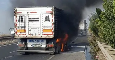 Viranşehir'de seyir halindeki kamyon alev aldı #sanliurfa