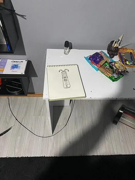 SON DAKİKA | Katil Semih Çelik’in odasından çıkanlar şoke etti: Haç figürlü obje, ilginç tablolar, kitaplığındaki bıçak...