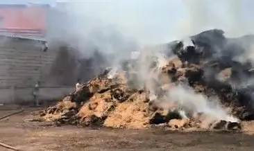 Kayseri’de 200 ton saman alev aldı! 98 Angus karbonmonoksit gazından etkilendi #kayseri