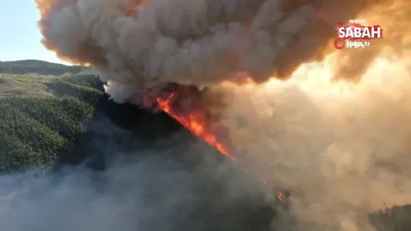 Kanada'da yangın felaketi! 13.4 milyon hektarlık alan kül oldu | Video