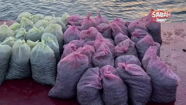 Üsküdar’da 1 buçuk ton kaçak midye ele geçirildi | Video