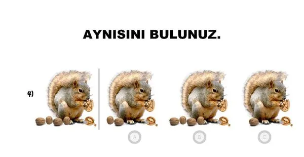 66. ay okuma öğrenmeye hazır mı?