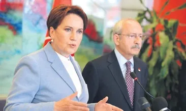 ‘Meral Hanım torun sevsin artık’