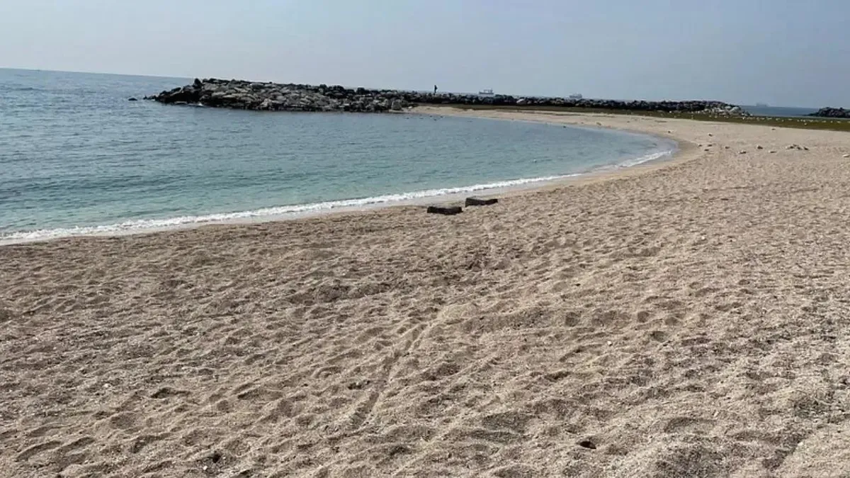 İstanbul’da 3 plaj kirlilik sebebiyle kapatıldı haber görseli