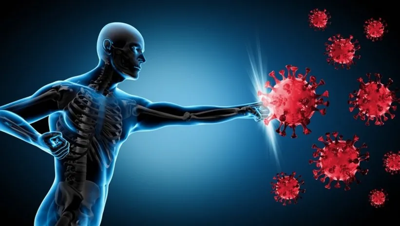 Kanserden koruyan hücrelerin %70’ine sahip! Bağışıklığı çelik gibi yapmanın sırrı bu organda