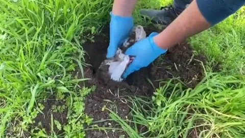 Torun ve sevgilisinden soygun planı: Merdivenden itilen dede öldü!