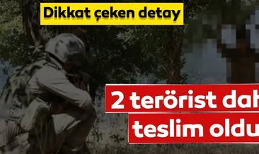 SON DAKİKA:  PKK terör örgütünden kaçan 2 terör örgütü mensubu daha bugün güvenlik güçlerine teslim oldu