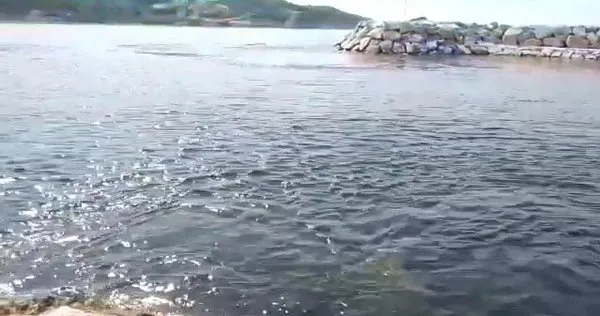 Karaburun Da Depremden Sonra Tsunami Yasanmis Son Dakika Haberler