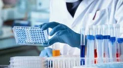 Volkan Konak’ın ölümü sonrası tartışma konusu oldu! Uzmanlar uyardı: DNA testini kimleri yaptırmalı