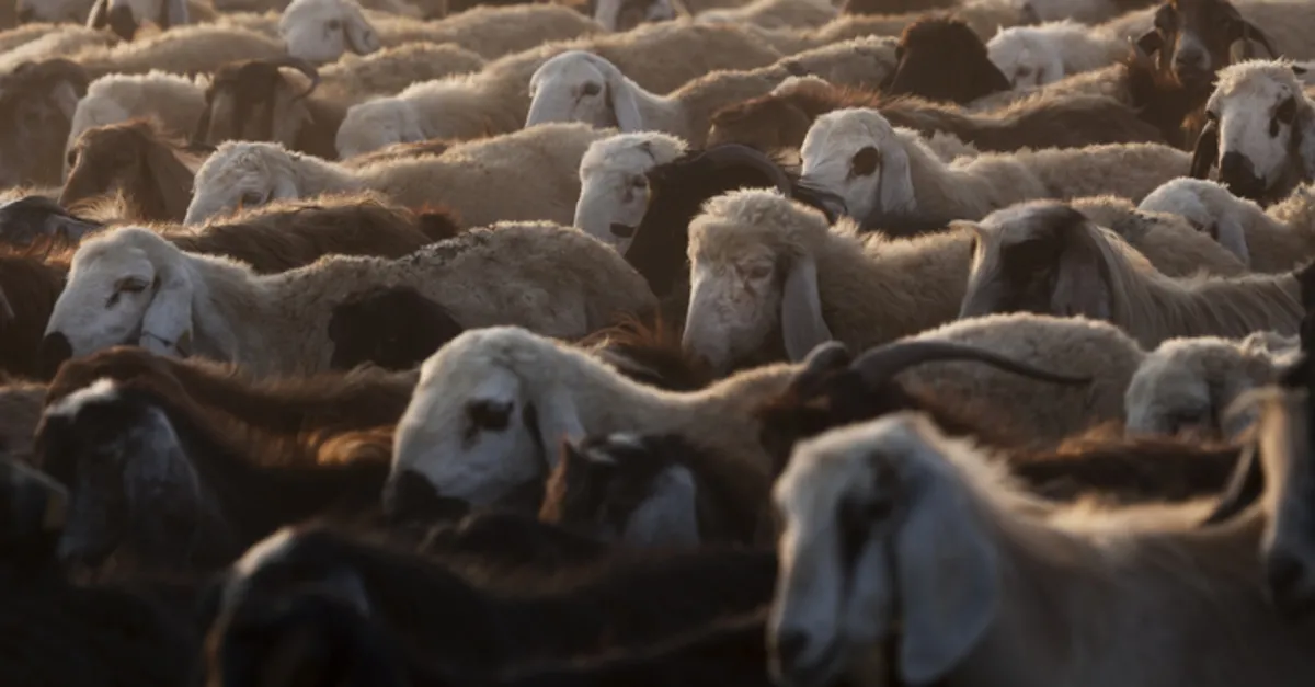 kurban bayrami ne zaman bu yil kurban