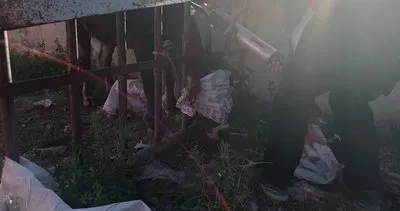 Başı demir korkuluklara sıkışan inek kurtarıldı #agri