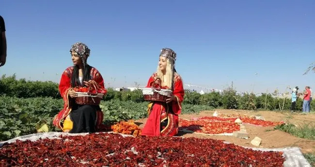 İsotun faydaları ve zararları nelerdir? İsot Neye İyi Gelir, Faydaları Neler?