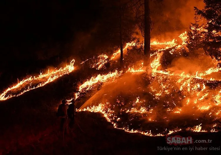 Kaliforniya’nın kuzeyinde yeni orman yangını