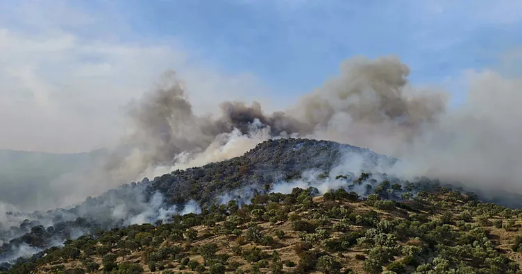 Aydın’da orman yangını