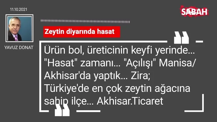 Yavuz Donat | Zeytin diyarında hasat