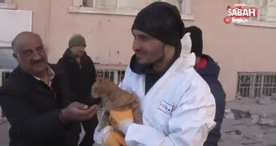 Depremden 248 saat sonra enkazdan sağ çıkarılan kediye ‘AFAD’ ismi verildi | Video