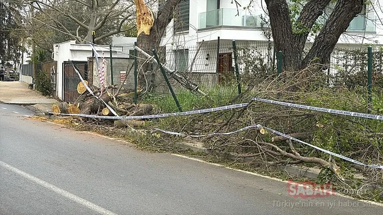 Bodrum’da fırtına etkili oldu: Tekneler suya gömüldü, ağaçlar devrildi