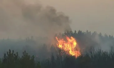 AFAD Başkanı Sezer açıkladı: Tekirdağ’daki orman yangınında son durum