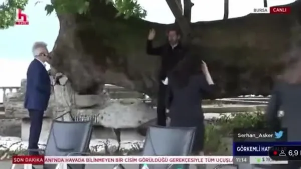 Halk TV'de çınar ağacına seçim vaadi: 