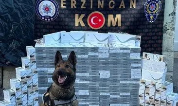 Erzincan’da kaçak sigara operasyonu: 1 şüpheli gözaltında