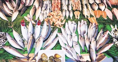 Boğaz küsmedi, küstürüldü!